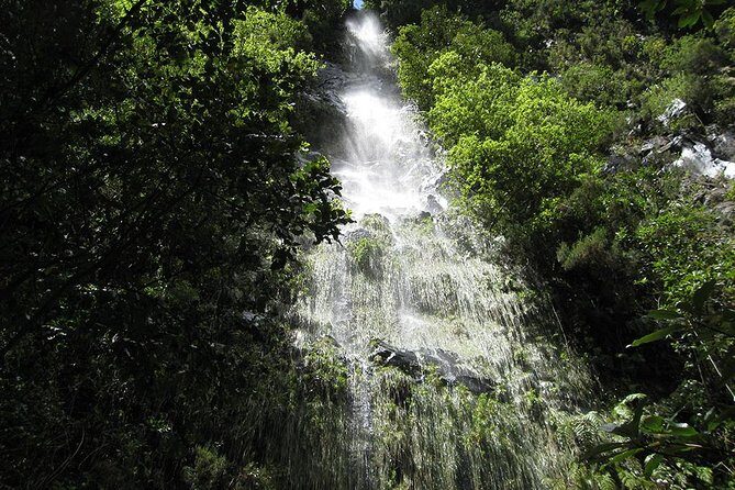Hidden Corners: Levada Walk from Funchal - Getting There Smoothly: Hotel Pickup and the Drive to the Trailhead