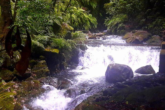 Hidden Corners: Levada Walk from Funchal - The Waterfall Moment: A Peaceful Stop Behind the Falls