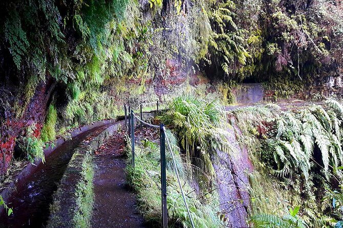 Hidden Corners: Levada Walk from Funchal - Price and Value: Is $51.61 Good for an 8-Hour Levada Day?