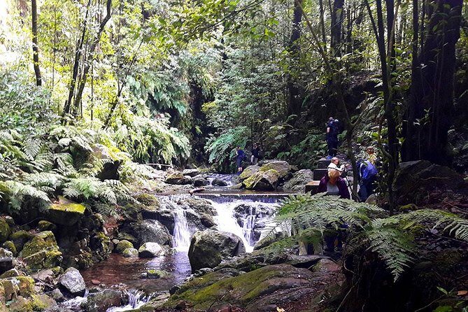 Hidden Corners: Levada Walk from Funchal - The São Jorge Valley Levada: Walking 10–13 km of Canal-Side Trail