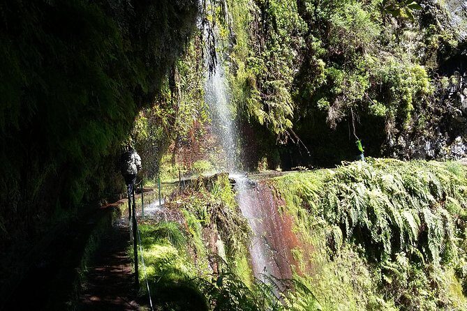 Hike in Laurisilva Levada do Rei - Madre of Life small Group guided walk - Laurisilva and Levada do Rei: What This Walk Feels Like