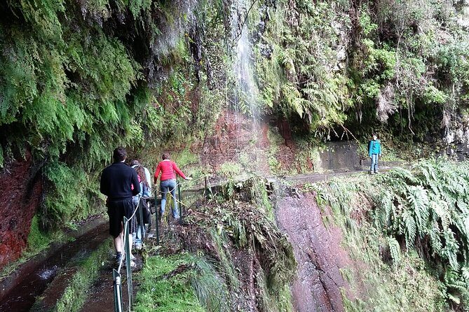 Hike in Laurisilva Levada do Rei - Madre of Life small Group guided walk - The Route Style: A North-to-South Levada Walk With Direction