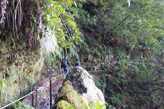 Hike in Laurisilva Levada do Rei - Madre of Life small Group guided walk - Stop Focus: Levada Do Rei (How the 4-Hour Walk Works)