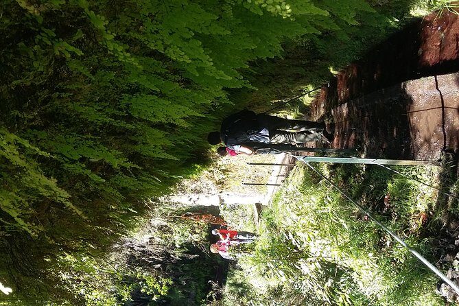 Hike in Laurisilva Levada do Rei - Madre of Life small Group guided walk - Getting There Smoothly: Pickup From Funchal and Caniço