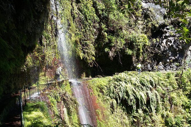 Hike in Laurisilva Levada do Rei - Madre of Life small Group guided walk - Price and Value: What $60.08 Really Buys You
