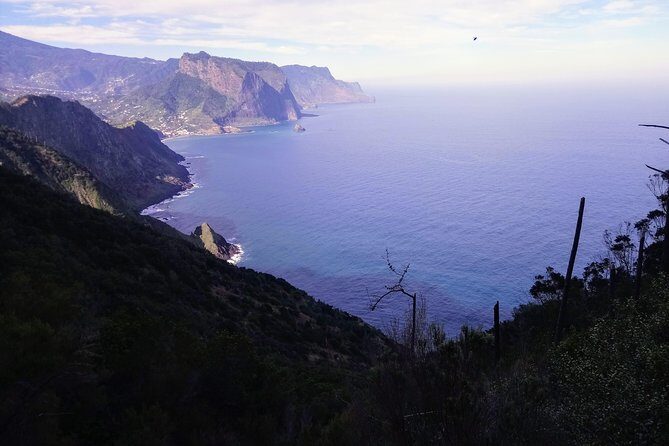 Hike Larano, Boca do Risco Porto da Cruz Levada in a small group - Price and value: what $95.12 buys you on Madeira