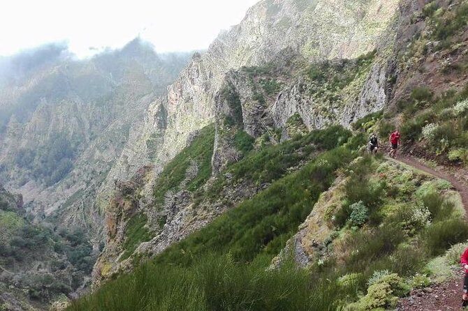 Hike Larano, Boca do Risco Porto da Cruz Levada in a small group - Pickup from Funchal and Caniço (and why the meeting point matters)