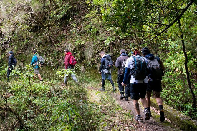 Hiking and Trekking tours in Madeira - Key highlights if you love levadas and easy planning