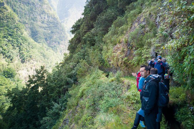 Hiking and Trekking tours in Madeira - Levadas feel approachable when Jorge takes the lead
