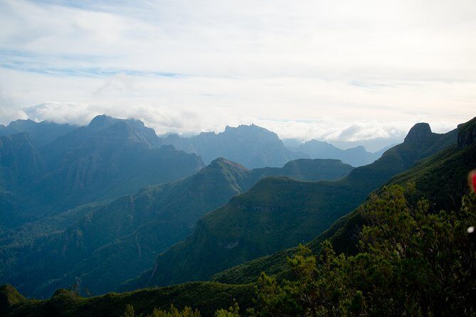 Hiking and Trekking tours in Madeira - The hike itself: walking one Madeira levada trail, step by step