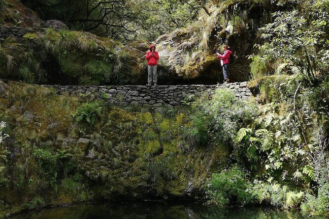 Hiking and Trekking tours in Madeira - What you’ll learn about plants and animals on the trail