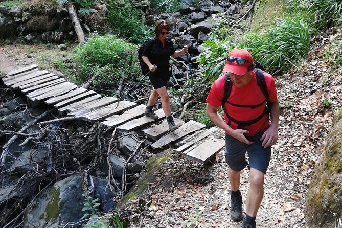 Hiking and Trekking tours in Madeira - Small-group comfort: max 8 makes it feel less like a production