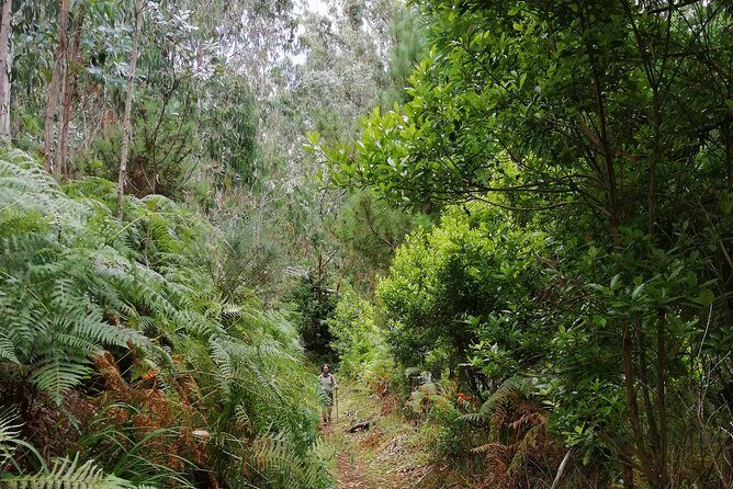 Hiking and Trekking tours in Madeira - What to bring (and what not to forget)