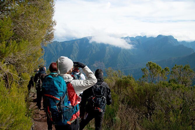 Hiking and Trekking tours in Madeira - Price and value: $120 for a guided 7-hour levada hike