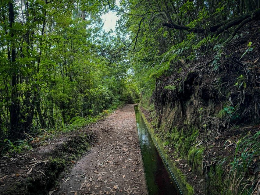 Hiking Madeira: Levada do Rei and the Majestic Laurissilva - Key things that make Levada do Rei special