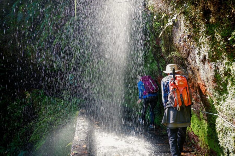 Hiking Madeira: Levada do Rei and the Majestic Laurissilva - Planning Your Day Around a 7-Hour Madeira Hike