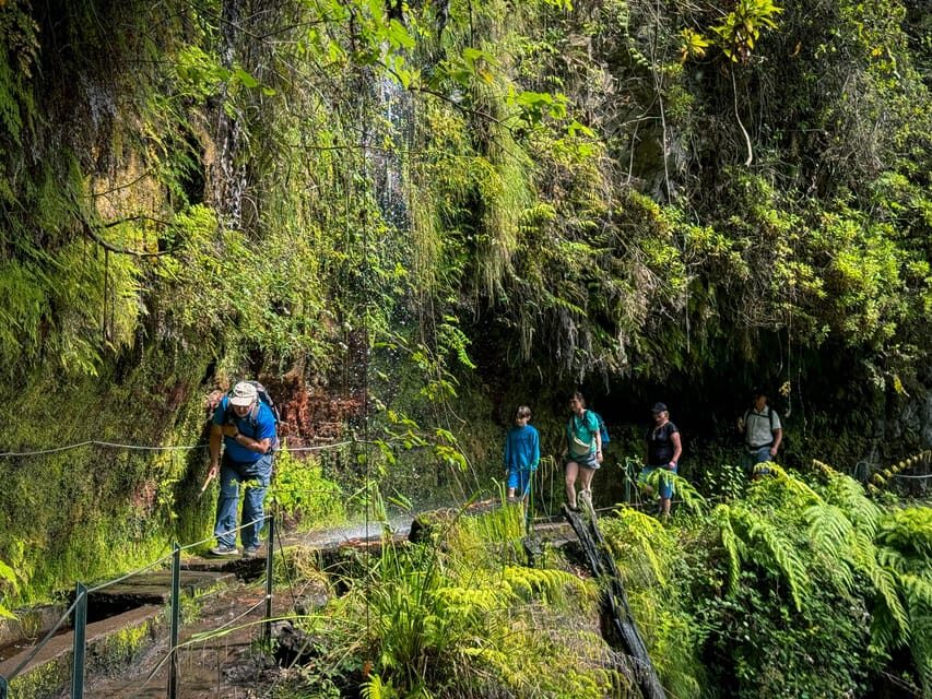 Hiking Madeira: Levada do Rei and the Majestic Laurissilva - The Waterfall and the Ribeiro Bonito Turnaround