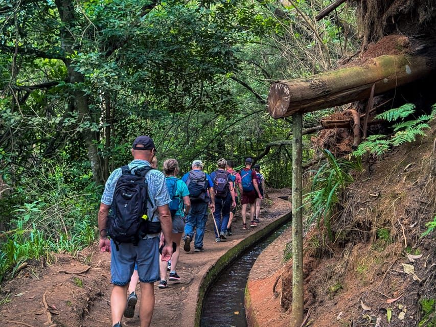 Hiking Madeira: Levada do Rei and the Majestic Laurissilva - What the Guide Brings (Names Like Samuel and Martha)