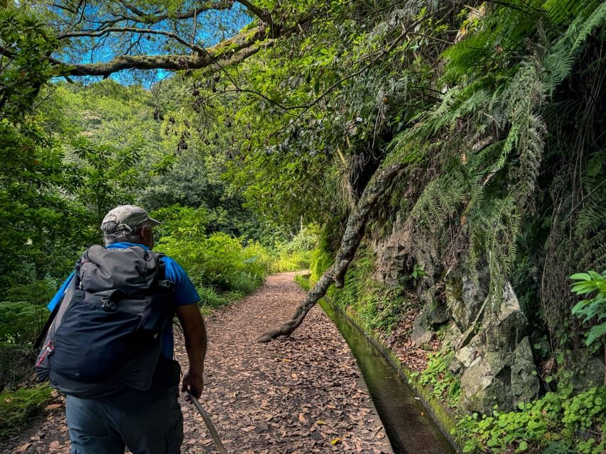 Hiking Madeira: Levada do Rei and the Majestic Laurissilva - Pickup, Van Ride, and the Helpful Café Stop