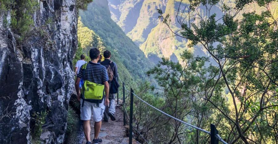Hiking Trip with a Local - A 4-Hour Guided Hike Built Around Your Comfort Level