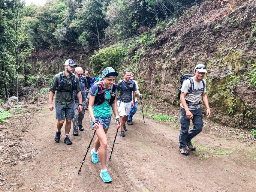 Hiking Trip with a Local - Picking Your Route: Madeira’s Weekly Lineup (and Which Days Feel Quieter)
