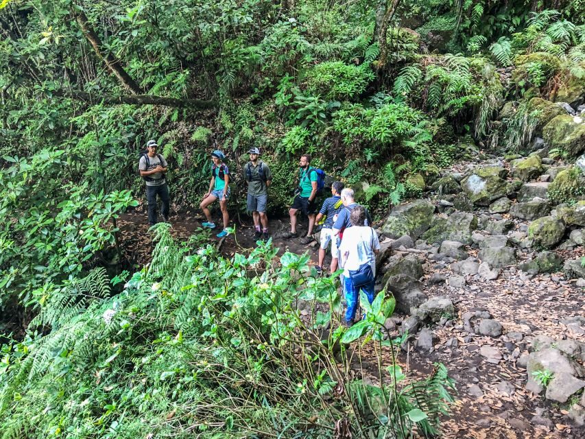 Hiking Trip with a Local - Monday: 25 Fountains, Risco Levadas, and Waterfalls