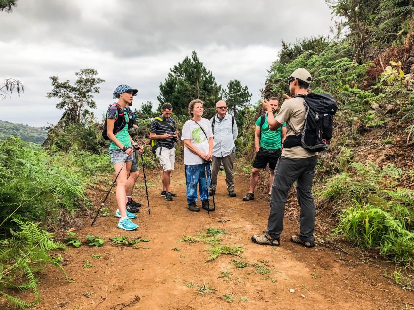 Hiking Trip with a Local - Wednesday: Caldeirão Verde Levada with a Longer Walking Day