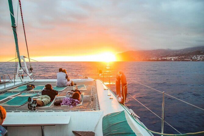 Hop-on Hop-off Bus Tour and Catamaran Whale & Dolphin Watching - Key highlights you’ll actually use