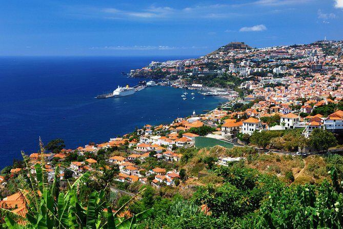 Hop-on Hop-off Bus Tour and Catamaran Whale & Dolphin Watching - How a hop-on bus plus catamaran works in Funchal