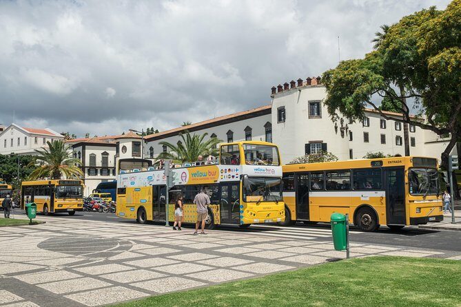 Hop-on Hop-off Bus Tour and Catamaran Whale & Dolphin Watching - Bordal Embroideries Factory and Blandy’s wine: two local culture hits