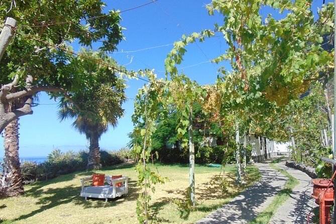 Incredible tour to a 'Faja' with a story - Cable car reality check: plan for the ride, then enjoy the reward