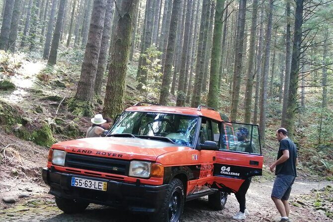 Jeep Safari in Pico Areeiro Santana Faial Full Day Tour - Stop 3: Ribeiro Frio + Balcões Viewpoint Walk