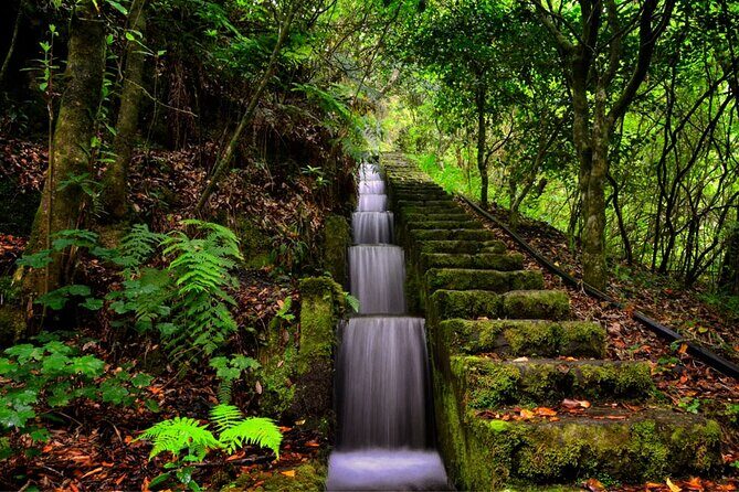 Jeep Safari in Pico Areeiro Santana Faial Full Day Tour - Stop 5: São Jorge Village Lunch Stop With Optional 20€ Meal