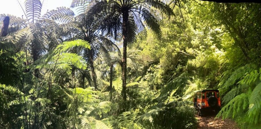 Jeep Tour Santana to East-Side - Key points you’ll feel on the day