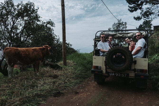 Jeep Tour To ,(Skywalk, Seixal, Porto Moniz, Fanal) - Ponta do Sol: old port, small streets, and easy wandering