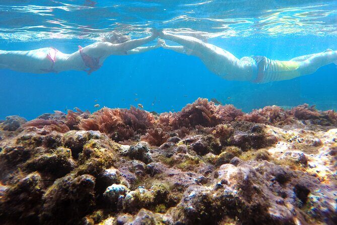 Kayak and Snorkeling Tour in Underwater Nature Reserve Garajau - How the 2-Hour Plan Really Feels
