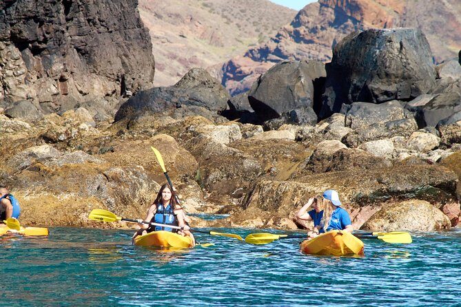 Kayak Experience @ Ponta de São Lourenço - Timing, Weather, and How Conditions Shape Your Day