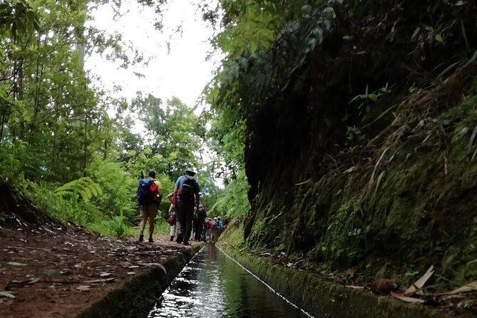 Kings Levada - São Jorge - Getting there from Funchal: pickup and an 8:30 start that makes sense