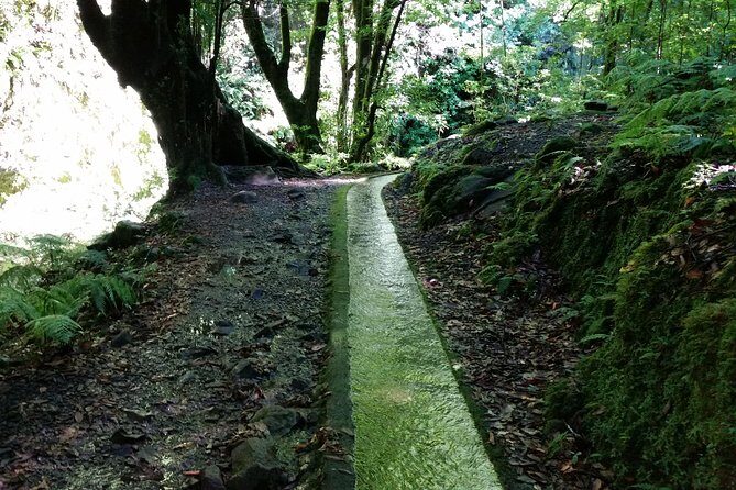Kings Levada - São Jorge - The pace is guided: what “you won’t get lost” really means