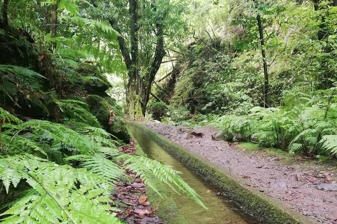 Kings Levada - São Jorge - Safety and comfort on the wide path