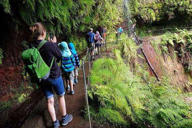Kings Levada - São Jorge - Price and value: is $54.01 worth it?