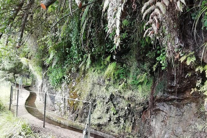 Kings Levada - São Jorge - Who this Kings Levada hike is best for