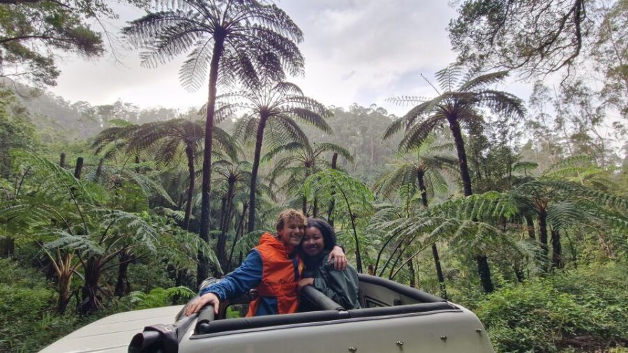Let-Me-Surprise-You Madeira Full Day Private Tour - A Madeira Day Built Around Weather, Not a Fixed Script