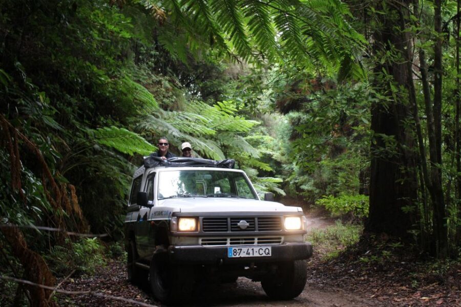 Let-Me-Surprise-You Madeira Full Day Private Tour - The Microclimates You’ll See in One 8-Hour Swing