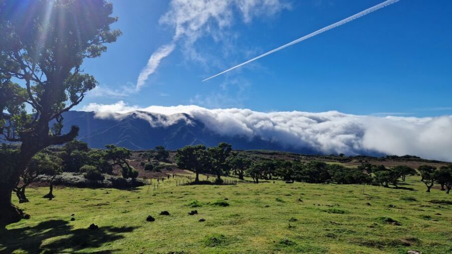 Let-Me-Surprise-You Madeira Full Day Private Tour - How Food Fits In: Espetadas, Ponchas, and the Reality Check