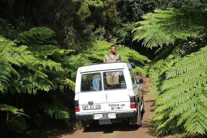 Let-Me-Surprise-You Private Full-Day Tour in All Terrain Vehicle - Poncha, Local Tips, and Where the Day Gets Delicious