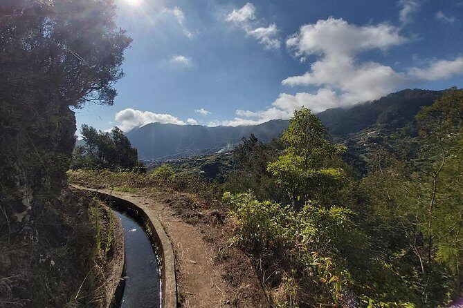 Levada da Referta - Castelejo - Castelejo terraces and local agriculture you can actually see