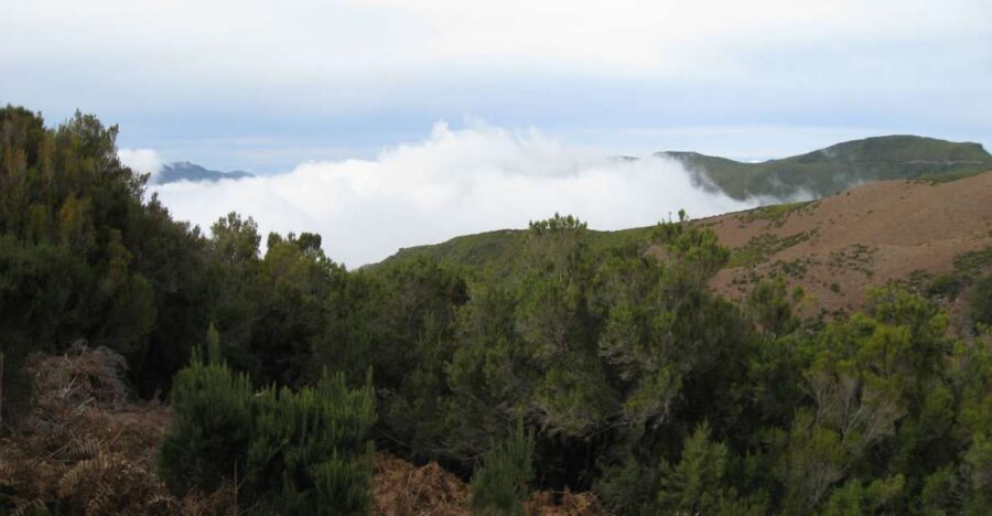 Levada do Alecrim (Madeira Lakes) Full-day walk - Getting to the trail: pickup from Caniço, Garajau, and Funchal