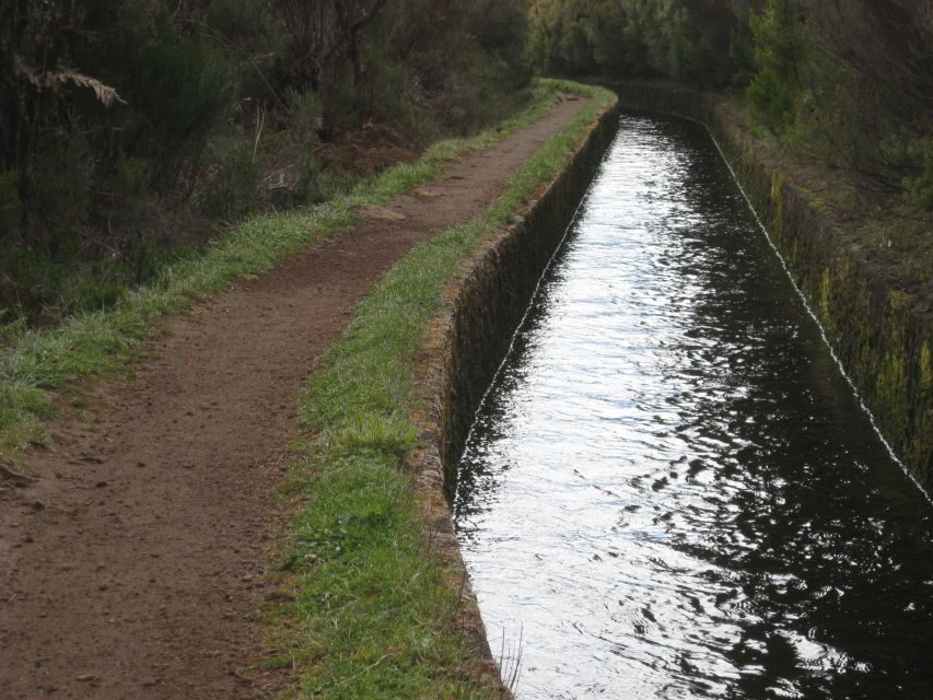 Levada do Alecrim (Madeira Lakes) Full-day walk - Lunch by the water: where the swim moment fits in