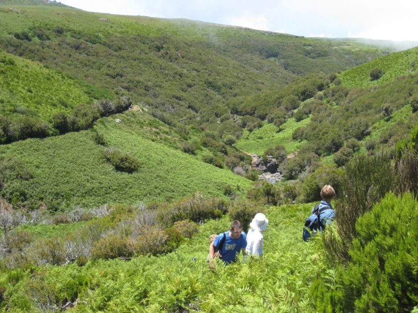 Levada do Alecrim (Madeira Lakes) Full-day walk - Guides and pacing: learning without slowing you down